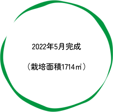 2022年5月完成