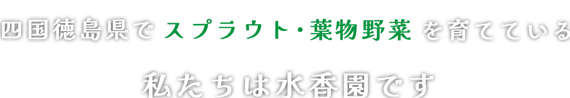 四国徳島県でスプラウトを育てている私たちは水香園です